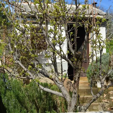 Kata - Modric Apartman Rovanjska